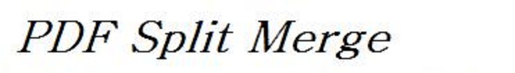 Split and Merge PDF Files with PDF Split Merge ActiveX
